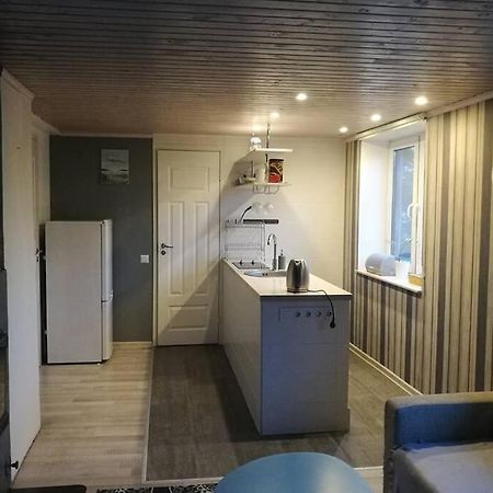 Quiet Place With Garden Studio Apartment Tallinn Dış mekan fotoğraf